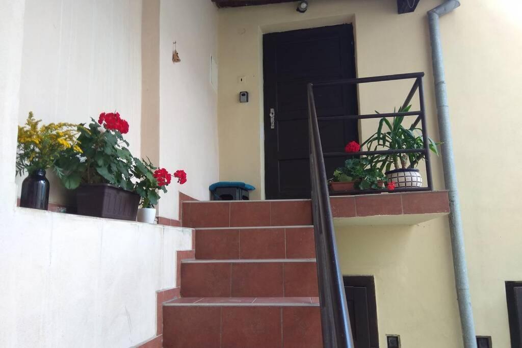 Apartman V Centru Olomouc Extérieur photo